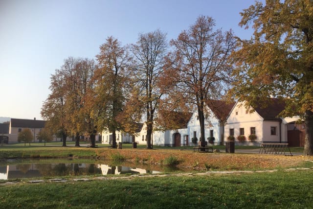 Голашовіце | Фото: Jitka Cibulová Vokatá,  Český rozhlas