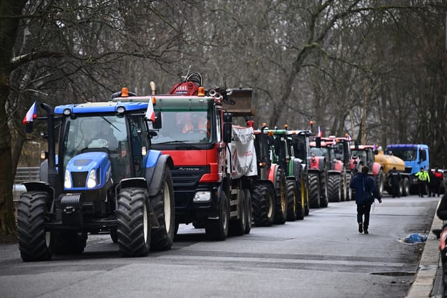 Фото: Radek Petrášek,  ČTK