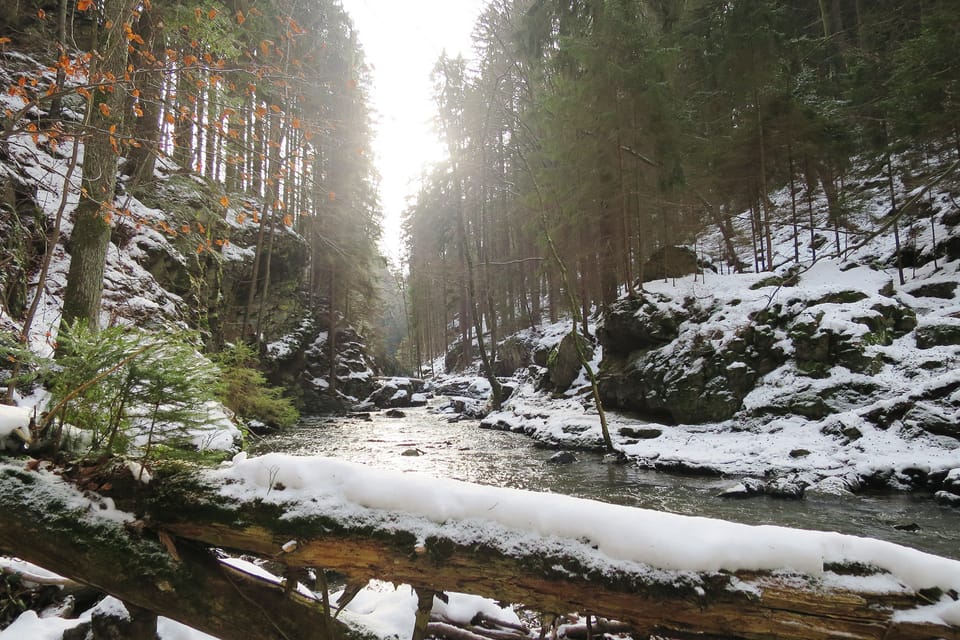 Річка Доубрава | Фото: Tereza Brázdová,  Český rozhlas