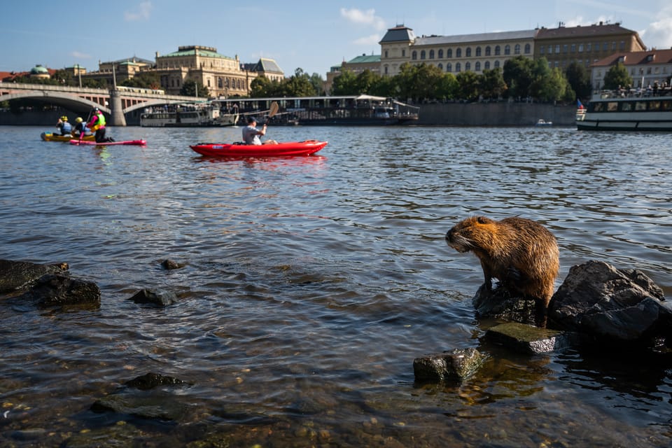 Фото: Zuzana Jarolímková,  iROZHLAS.cz