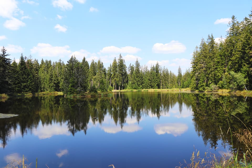 Славковський ліс,  захисна ландшафтна зона | Фото: Naďa Krásná,  Český rozhlas